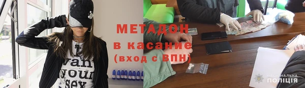 прущие грибы Абинск