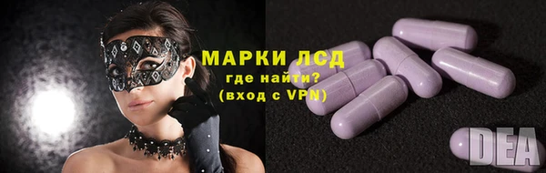 прущие грибы Абинск