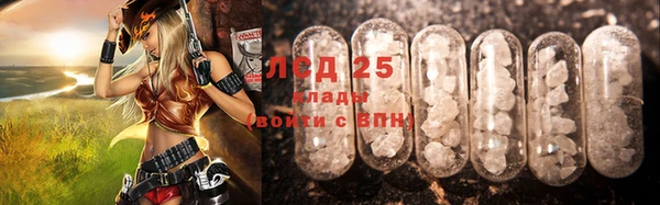 прущие грибы Абинск