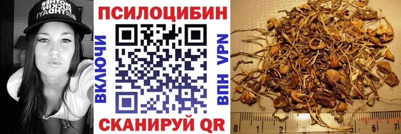 mega зеркало  хочу   Альметьевск  Галлюциногенные грибы Psilocybe 